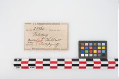 Etikett zu Bimetallantennendolchgriff (NHMW-PRAE-025560)